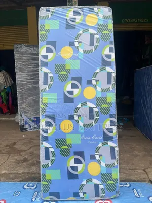 2 1⁄2 by 6 by 4 Green Earth Student Mattress