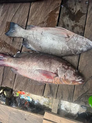 Fresh Seafood