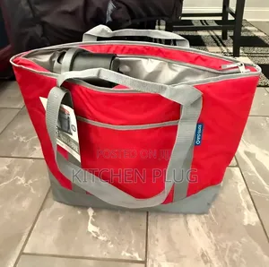 Sam's Club Cooler Tote Insulated Shopping Bag