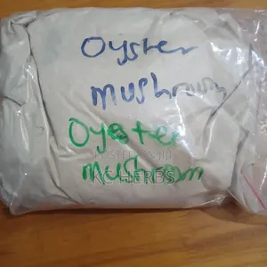 Oyster Mushroom 100g