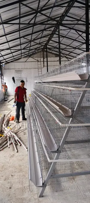 Livestock Farming Cages Poultry Cage Chicken Farming Cages