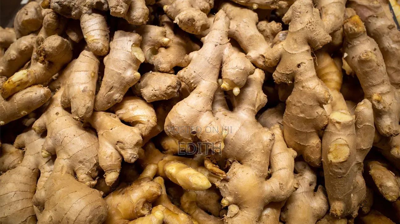 Dry and Raw Gingger