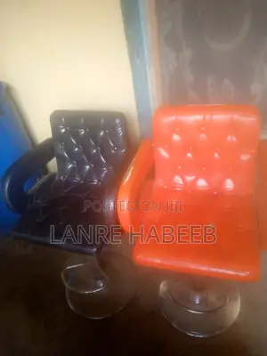 Salon Chair