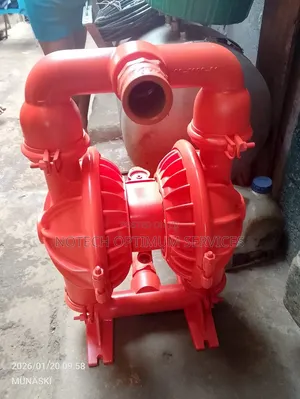 Wilden Air-operated Double-diaphragm (Aodd) Pump