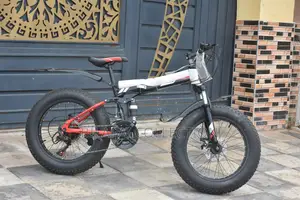 Size 20 Fat Tyre Bicycle
