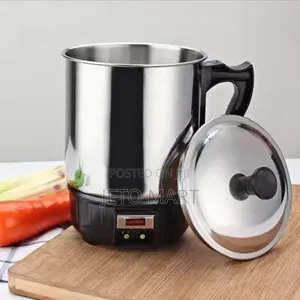 Electric Stainless Jug