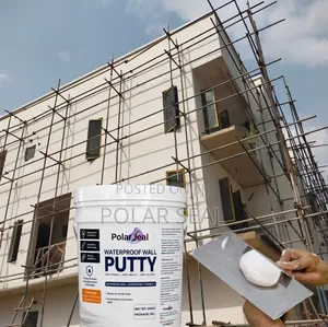 Wall Dampness Is Destroying Your Paint—Here's the Permanent Solution