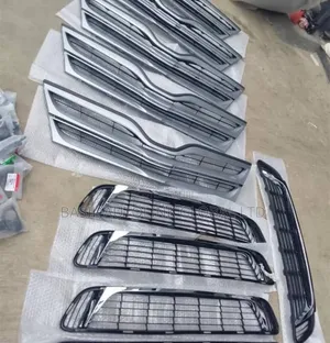 Complete Front Bumper Grille Venza