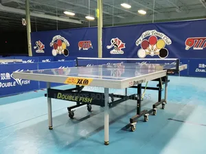 Brand New Double Fish 25mm Ittf Table 233 Board