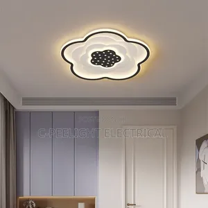 Luxury Modern Led Ceiling Light