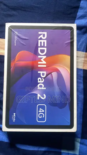 Xiaomi Redmi Pad 2 256 GB Gray