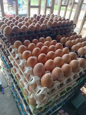 Fresh Eggs