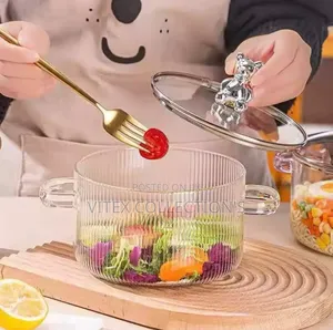 Borosilicate Glass Pot