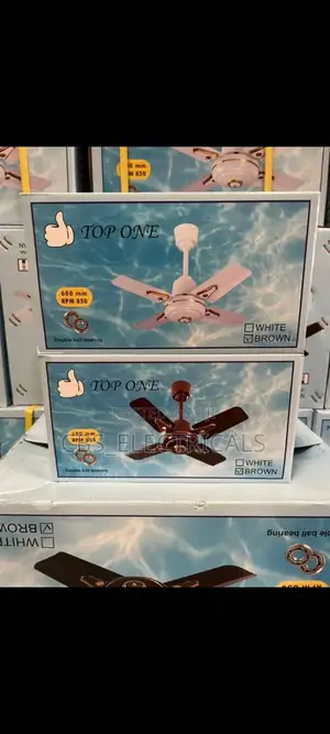Top One Short-Blade Ceiling Fan
