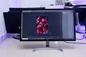 24 Inches Ips Lg Monitor