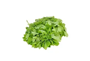Fresh Waterleaf