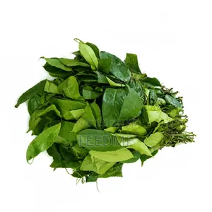 Okazi Leaf