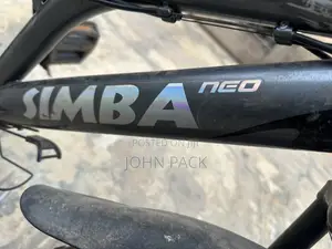A Active and Lovely Sport Bike for Sale