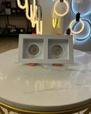 Cob Double Recessed Spot Light