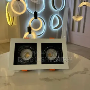 Cob Double Recessed Spot Light