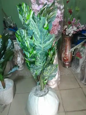 Fibre Pot and Green Plant