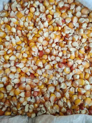 Yellow Maize