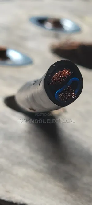 25mm 2core Dc Wire