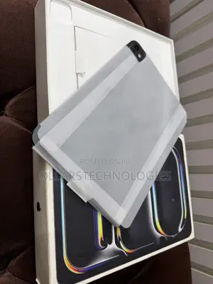 Apple iPad Pro 11 (2024) 256 GB Gray