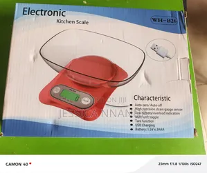 12kg Sensitive Scale