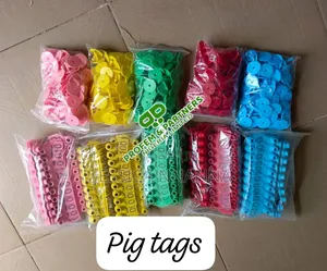 Pig Ear Tag