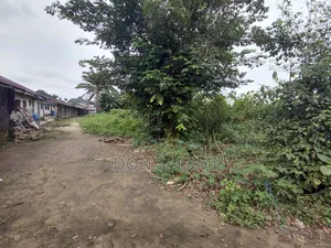 5 and a Half Plots in Egbelu