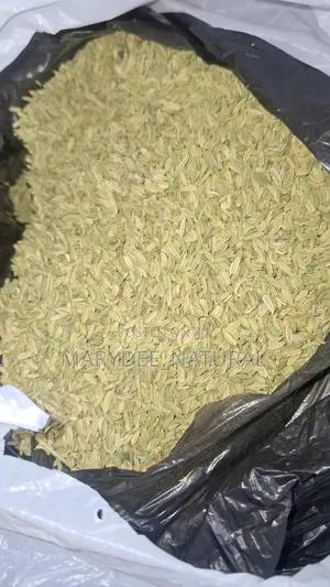 Fennel Seeds