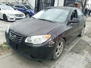 Hyundai Elantra 2010 Brown