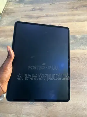Apple iPad Pro 1 TB Gray