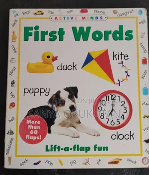 First Words Lift a Flap Peekaboo