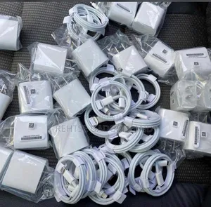 Original iPhone Charger