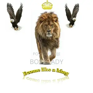 I Create Creative Logo and Animate Designs.