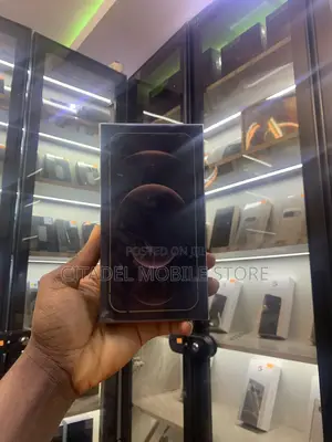 New Apple iPhone 12 Pro Max 128 GB Gold