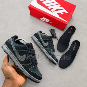 New Nike Sb Dunk Low Retro Premium “Anthracite ’Snks”