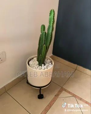 Flowers Vase