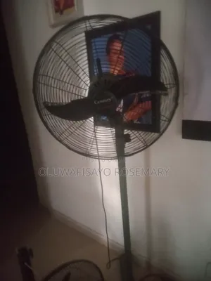 Standing Fan