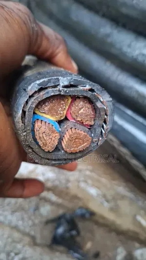 Armoured Cable 150mmx4c