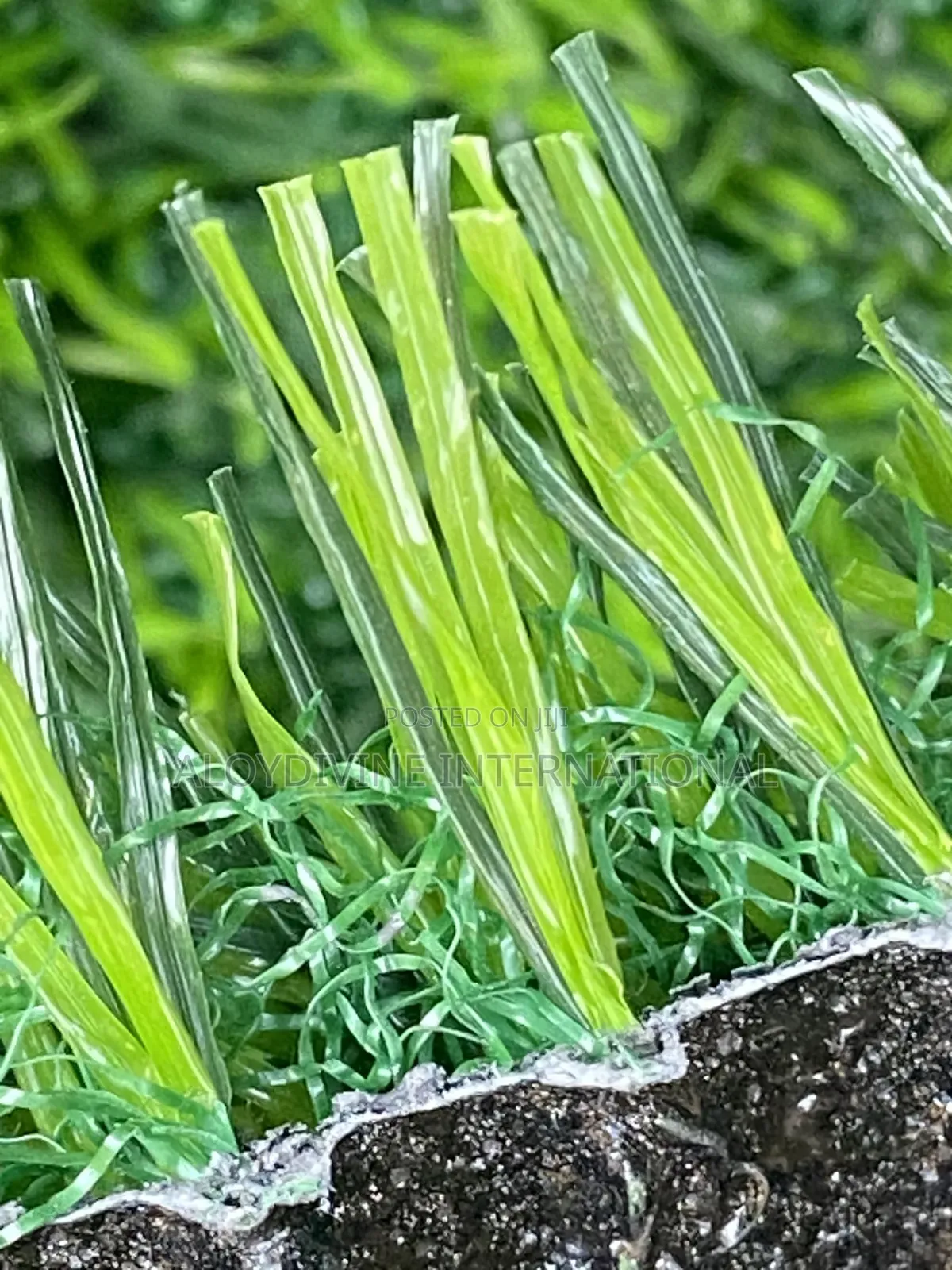 30mm Thick Back Synthetic Grass