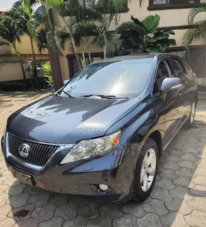 Lexus RX 2010 Gray