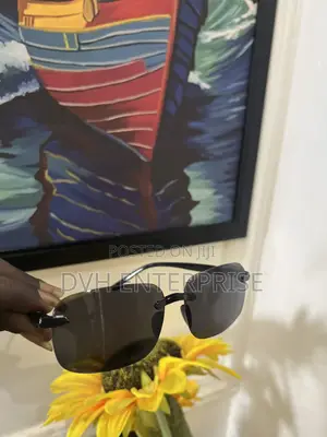 Black Tint Sunglasses