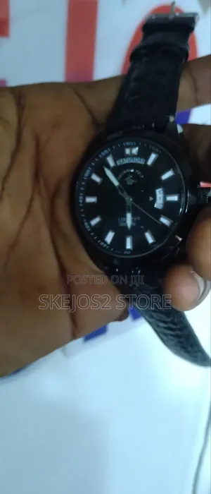 American Polo Liberty Collection Watch