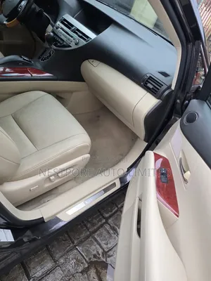 Lexus RX 2010 Gray 