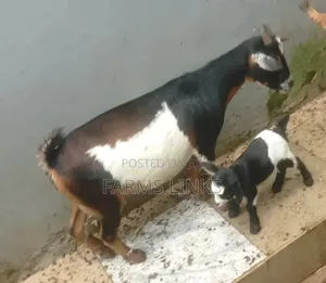 Mother and One Kid