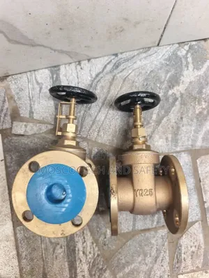 Heavy-Duty Bronze Gate Valve for Industrial Applications