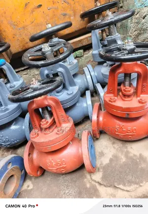 Jis / Cast Iron Globe Valve